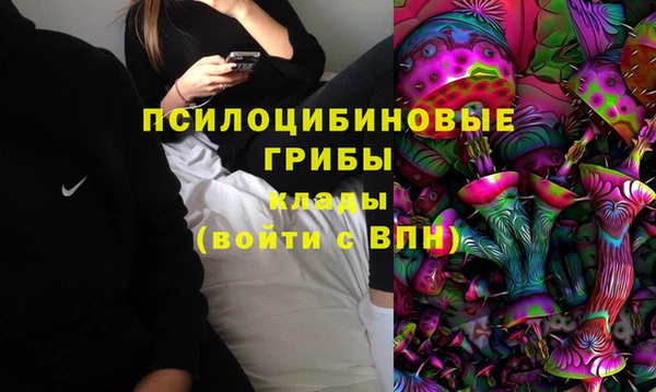 эйфоретик Абинск