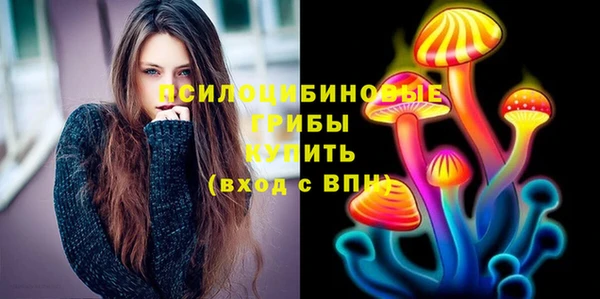 эйфоретик Абинск