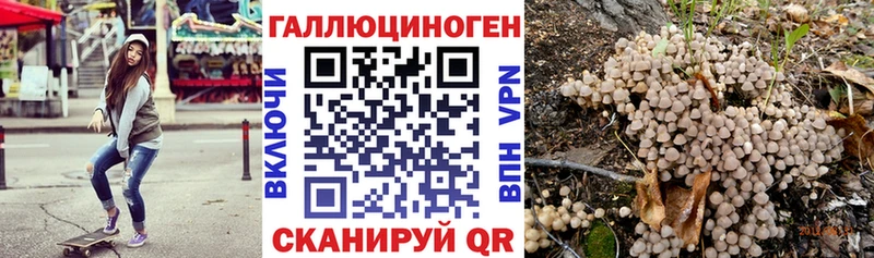 Галлюциногенные грибы Psilocybine cubensis Каргополь